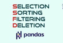 دستکاری اولیه داده ها: انتخاب، مرتب سازی، فیلتر کردن و حذف