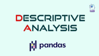 تجزیه و تحلیل توصیفی با Pandas