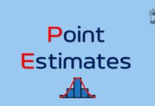 تخمین نقطهای