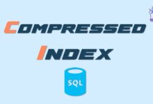 Compressed Index