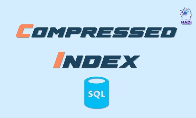 Compressed Index