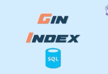 Gin Index