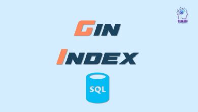 Gin Index