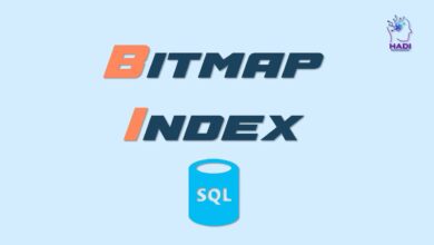 Bitmap Index