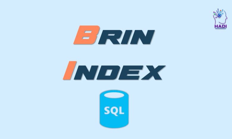 BRIN Index