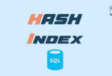 HASH Index