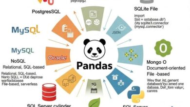 انواع پایگاه داده های قابل اتصال به پانداس